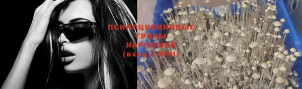 соль ск Нефтекумск