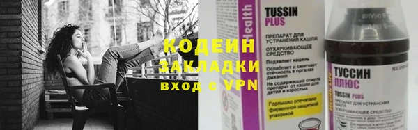 дурь Нея