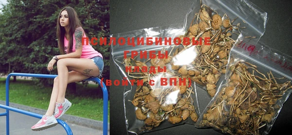 дурь Нея