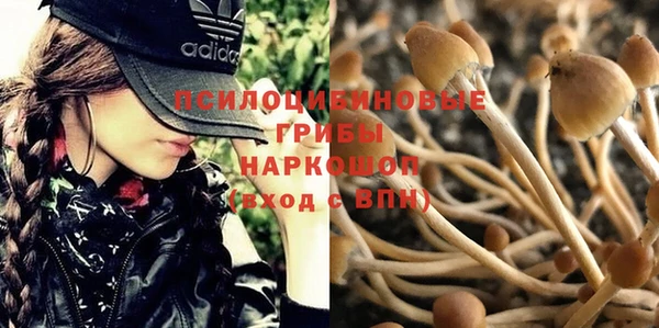 трава Нефтегорск