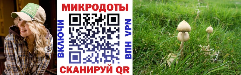 Псилоцибиновые грибы Cubensis  Черногорск 