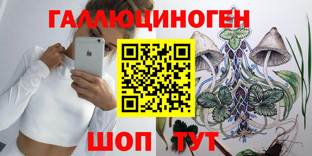 Галлюциногенные грибы Psilocybine cubensis  Вход с VPN  купить закладку  Черногорск 